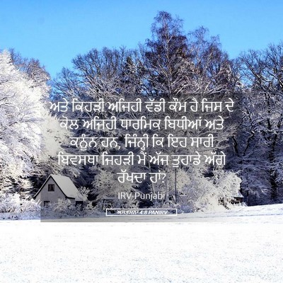 Picture 05 - ਅਸਤਸਨਾ 4:8 PANIRV - ਅਤੇ ਕਿਹੜੀ ਅਜਿਹੀ - Bible Verse Picture