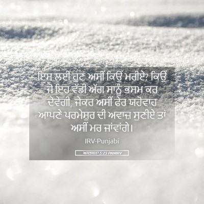 Picture 05 - ਅਸਤਸਨਾ 5:25 PANIRV - ਇਸ ਲਈ ਹੁਣ ਅਸੀਂ ਕਿਉਂ - Bible Verse Picture