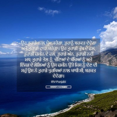Picture 05 - ਅਸਤਸਨਾ 7:13 PANIRV - ਉਹ ਤੁਹਾਡੇ ਨਾਲ - Bible Verse Picture