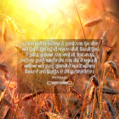 Picture 05 - ਅਸਤਸਨਾ 7:8 PANIRV - ਪਰ ਇਸ ਲਈ ਕਿ ਯਹੋਵਾਹ - Bible Verse Picture