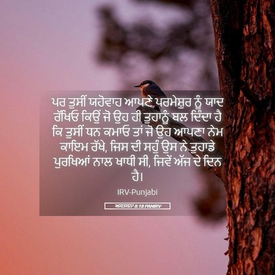Picture 05 - ਅਸਤਸਨਾ 8:18 PANIRV - ਪਰ ਤੁਸੀਂ ਯਹੋਵਾਹ - Bible Verse Picture