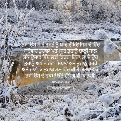 Picture 05 - ਅਸਤਸਨਾ 8:2 PANIRV - ਤੁਸੀਂ ਉਸ ਸਾਰੇ ਰਸਤੇ - Bible Verse Picture