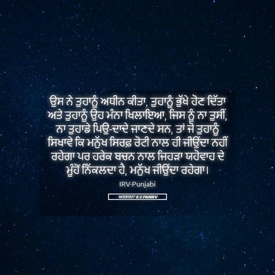 Picture 05 - ਅਸਤਸਨਾ 8:3 PANIRV - ਉਸ ਨੇ ਤੁਹਾਨੂੰ ਅਧੀਨ - Bible Verse Picture