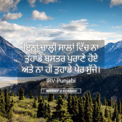 Picture 05 - ਅਸਤਸਨਾ 8:4 PANIRV - ਇਨ੍ਹਾਂ ਚਾਲ੍ਹੀ - Bible Verse Picture