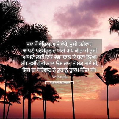 Picture 05 - ਅਸਤਸਨਾ 9:16 PANIRV - ਤਦ ਮੈਂ ਵੇਖਿਆ ਅਤੇ - Bible Verse Picture