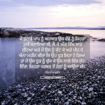 Picture 05 - ਅਸਤਸਨਾ 9:21 PANIRV - ਮੈਂ ਤੁਹਾਡੇ ਪਾਪ ਨੂੰ - Bible Verse Picture