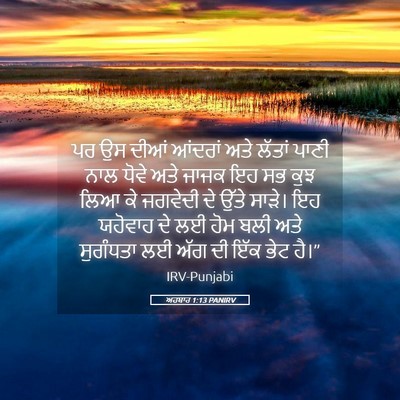 Picture 05 - ਅਹਬਾਰ 1:13 PANIRV - ਪਰ ਉਸ ਦੀਆਂ ਆਂਦਰਾਂ - Bible Verse Picture