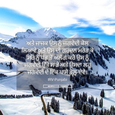 Picture 05 - ਅਹਬਾਰ 1:15 PANIRV - ਅਤੇ ਜਾਜਕ ਉਸ ਨੂੰ - Bible Verse Picture
