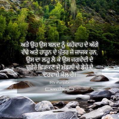 Picture 05 - ਅਹਬਾਰ 1:5 PANIRV - ਅਤੇ ਉਹ ਉਸ ਬਲ਼ਦ ਨੂੰ - Bible Verse Picture