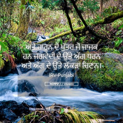 Picture 05 - ਅਹਬਾਰ 1:7 PANIRV - ਅਤੇ ਹਾਰੂਨ ਦੇ ਪੁੱਤਰ - Bible Verse Picture