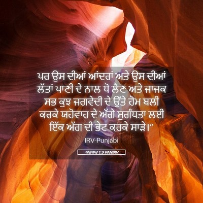 Picture 05 - ਅਹਬਾਰ 1:9 PANIRV - ਪਰ ਉਸ ਦੀਆਂ ਆਂਦਰਾਂ - Bible Verse Picture