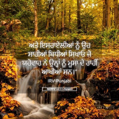 Picture 05 - ਅਹਬਾਰ 10:11 PANIRV - ਅਤੇ ਇਸਰਾਏਲੀਆਂ ਨੂੰ - Bible Verse Picture