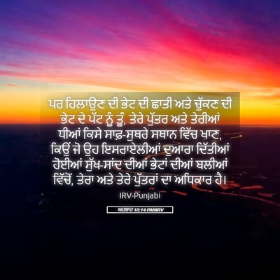 Picture 05 - ਅਹਬਾਰ 10:14 PANIRV - ਪਰ ਹਿਲਾਉਣ ਦੀ ਭੇਟ ਦੀ - Bible Verse Picture