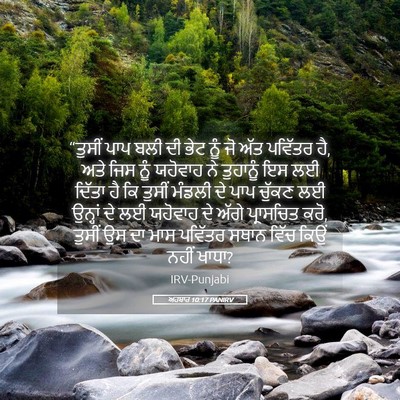 Picture 05 - ਅਹਬਾਰ 10:17 PANIRV - “ਤੁਸੀਂ ਪਾਪ ਬਲੀ ਦੀ - Bible Verse Picture