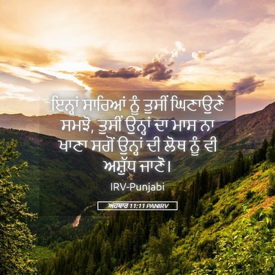 Picture 05 - ਅਹਬਾਰ 11:11 PANIRV - ਇਨ੍ਹਾਂ ਸਾਰਿਆਂ ਨੂੰ - Bible Verse Picture