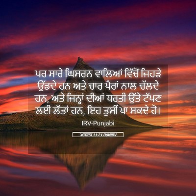 Picture 05 - ਅਹਬਾਰ 11:21 PANIRV - ਪਰ ਸਾਰੇ ਘਿਸਰਨ - Bible Verse Picture