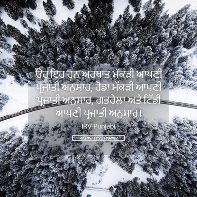 Picture 05 - ਅਹਬਾਰ 11:22 PANIRV - ਉਹ ਇਹ ਹਨ ਅਰਥਾਤ - Bible Verse Picture