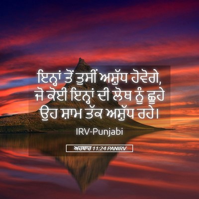 Picture 05 - ਅਹਬਾਰ 11:24 PANIRV - ਇਨ੍ਹਾਂ ਤੋਂ ਤੁਸੀਂ - Bible Verse Picture