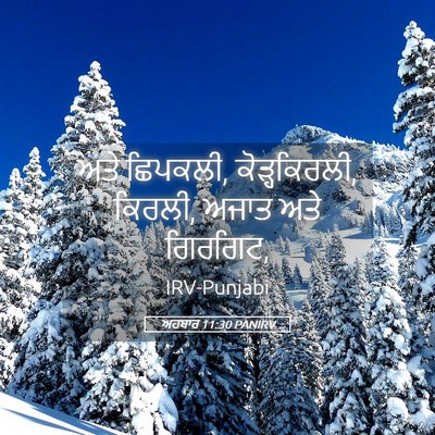 Picture 05 - ਅਹਬਾਰ 11:30 PANIRV - ਅਤੇ ਛਿਪਕਲੀ, - Bible Verse Picture