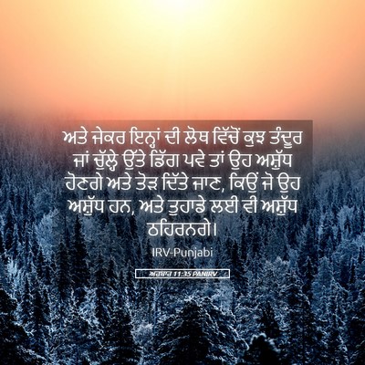 Picture 05 - ਅਹਬਾਰ 11:35 PANIRV - ਅਤੇ ਜੇਕਰ ਇਨ੍ਹਾਂ ਦੀ - Bible Verse Picture