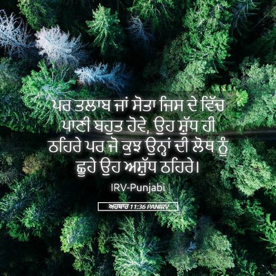 Picture 05 - ਅਹਬਾਰ 11:36 PANIRV - ਪਰ ਤਲਾਬ ਜਾਂ ਸੋਤਾ - Bible Verse Picture