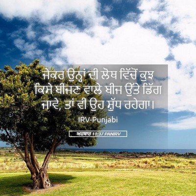 Picture 05 - ਅਹਬਾਰ 11:37 PANIRV - ਜੇਕਰ ਉਨ੍ਹਾਂ ਦੀ ਲੋਥ - Bible Verse Picture