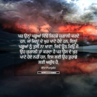 Picture 05 - ਅਹਬਾਰ 11:4 PANIRV - ਪਰ ਉਨ੍ਹਾਂ ਪਸ਼ੂਆਂ - Bible Verse Picture