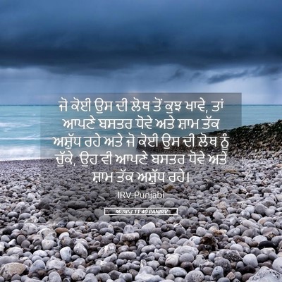 Picture 05 - ਅਹਬਾਰ 11:40 PANIRV - ਜੋ ਕੋਈ ਉਸ ਦੀ ਲੋਥ - Bible Verse Picture