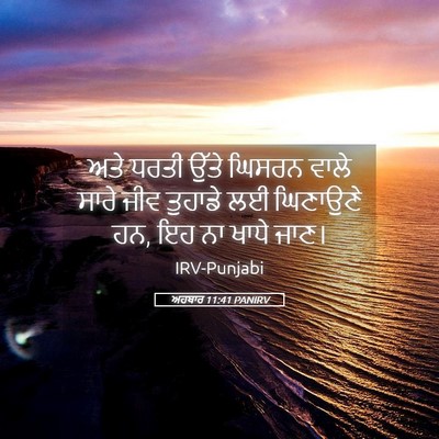 Picture 05 - ਅਹਬਾਰ 11:41 PANIRV - ਅਤੇ ਧਰਤੀ ਉੱਤੇ - Bible Verse Picture