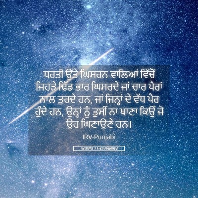 Picture 05 - ਅਹਬਾਰ 11:42 PANIRV - ਧਰਤੀ ਉੱਤੇ ਘਿਸਰਨ - Bible Verse Picture