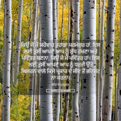 Picture 05 - ਅਹਬਾਰ 11:44 PANIRV - ਕਿਉਂ ਜੋ ਮੈਂ ਯਹੋਵਾਹ - Bible Verse Picture