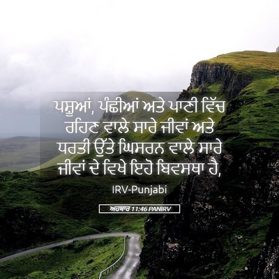 Picture 05 - ਅਹਬਾਰ 11:46 PANIRV - ਪਸ਼ੂਆਂ, ਪੰਛੀਆਂ ਅਤੇ - Bible Verse Picture