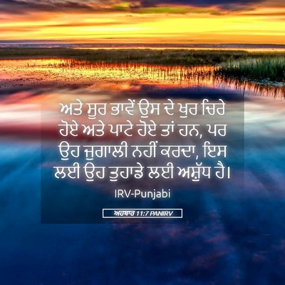 Picture 05 - ਅਹਬਾਰ 11:7 PANIRV - ਅਤੇ ਸੂਰ ਭਾਵੇਂ ਉਸ ਦੇ - Bible Verse Picture