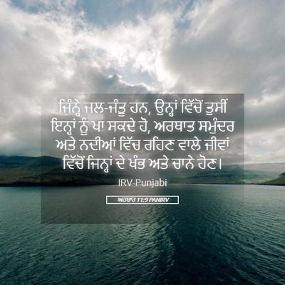Picture 05 - ਅਹਬਾਰ 11:9 PANIRV - ਜਿੰਨ੍ਹੇ ਜਲ-ਜੰਤੂ ਹਨ, - Bible Verse Picture