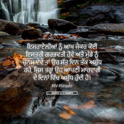 Picture 05 - ਅਹਬਾਰ 12:2 PANIRV - ਇਸਰਾਏਲੀਆਂ ਨੂੰ ਆਖ - Bible Verse Picture