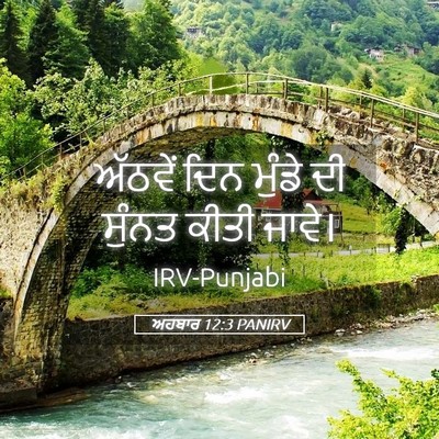 Picture 05 - ਅਹਬਾਰ 12:3 PANIRV - ਅੱਠਵੇਂ ਦਿਨ ਮੁੰਡੇ - Bible Verse Picture