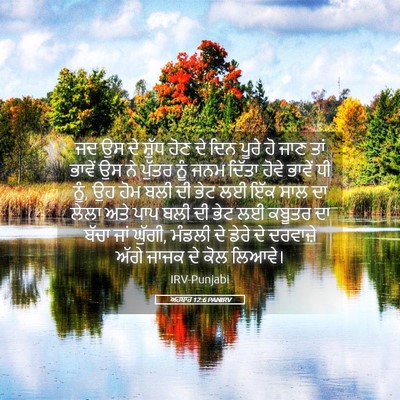 Picture 05 - ਅਹਬਾਰ 12:6 PANIRV - ਜਦ ਉਸ ਦੇ ਸ਼ੁੱਧ ਹੋਣ - Bible Verse Picture