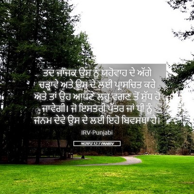 Picture 05 - ਅਹਬਾਰ 12:7 PANIRV - ਤਦ ਜਾਜਕ ਉਸ ਨੂੰ - Bible Verse Picture