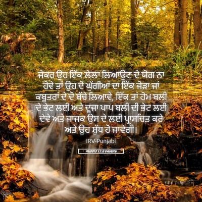 Picture 05 - ਅਹਬਾਰ 12:8 PANIRV - ਜੇਕਰ ਉਹ ਇੱਕ ਲੇਲਾ - Bible Verse Picture