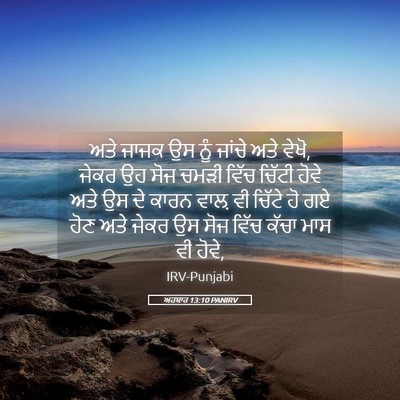 Picture 05 - ਅਹਬਾਰ 13:10 PANIRV - ਅਤੇ ਜਾਜਕ ਉਸ ਨੂੰ - Bible Verse Picture