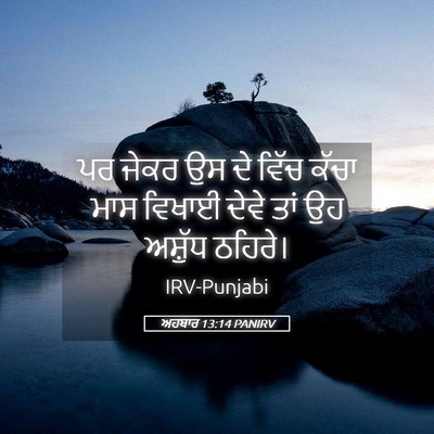 Picture 05 - ਅਹਬਾਰ 13:14 PANIRV - ਪਰ ਜੇਕਰ ਉਸ ਦੇ ਵਿੱਚ - Bible Verse Picture