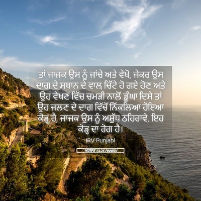 Picture 05 - ਅਹਬਾਰ 13:25 PANIRV - ਤਾਂ ਜਾਜਕ ਉਸ ਨੂੰ - Bible Verse Picture