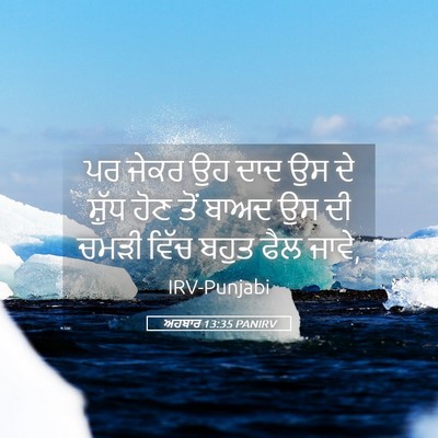 Picture 05 - ਅਹਬਾਰ 13:35 PANIRV - ਪਰ ਜੇਕਰ ਉਹ ਦਾਦ ਉਸ - Bible Verse Picture