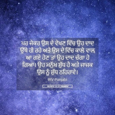 Picture 05 - ਅਹਬਾਰ 13:37 PANIRV - ਪਰ ਜੇਕਰ ਉਸ ਦੇ ਵੇਖਣ - Bible Verse Picture