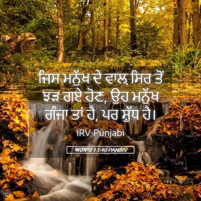 Picture 05 - ਅਹਬਾਰ 13:40 PANIRV - ਜਿਸ ਮਨੁੱਖ ਦੇ ਵਾਲ਼ - Bible Verse Picture