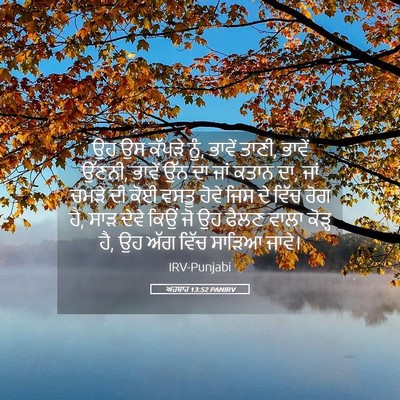 Picture 05 - ਅਹਬਾਰ 13:52 PANIRV - ਉਹ ਉਸ ਕੱਪੜੇ ਨੂੰ, - Bible Verse Picture
