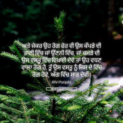 Picture 05 - ਅਹਬਾਰ 13:57 PANIRV - ਅਤੇ ਜੇਕਰ ਉਹ ਰੋਗ ਫੇਰ - Bible Verse Picture