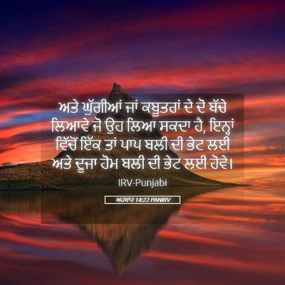 Picture 05 - ਅਹਬਾਰ 14:22 PANIRV - ਅਤੇ ਘੁੱਗੀਆਂ ਜਾਂ - Bible Verse Picture