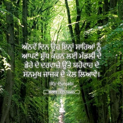 Picture 05 - ਅਹਬਾਰ 14:23 PANIRV - ਅੱਠਵੇਂ ਦਿਨ ਉਹ - Bible Verse Picture