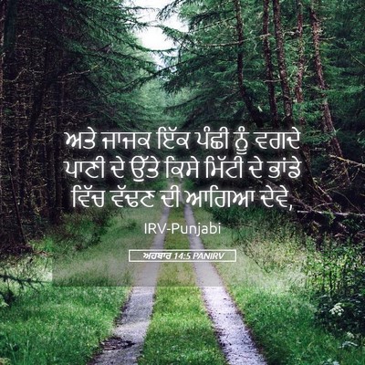 Picture 05 - ਅਹਬਾਰ 14:5 PANIRV - ਅਤੇ ਜਾਜਕ ਇੱਕ ਪੰਛੀ - Bible Verse Picture